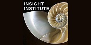 Insight Institute Insight Institute